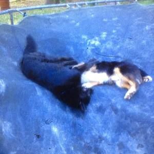 Meet your Posher, Nicholas